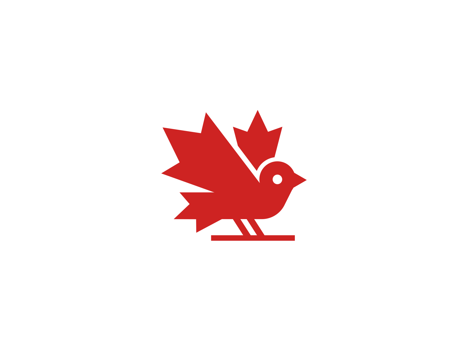 Canadian bird logo bird bird logo brand brand designer branddesigner branding branding design canada canada logo canadian leaf logo logo design logo designer logodesign logodesigner logotype maple saas logo startup logo
