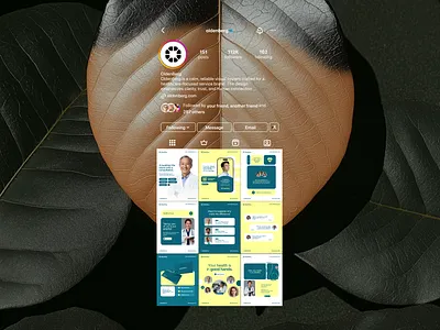 Oldenberg Social Media 3d animation brand brand identity branding design graphic design illustration logo motion graphics ui ux vector