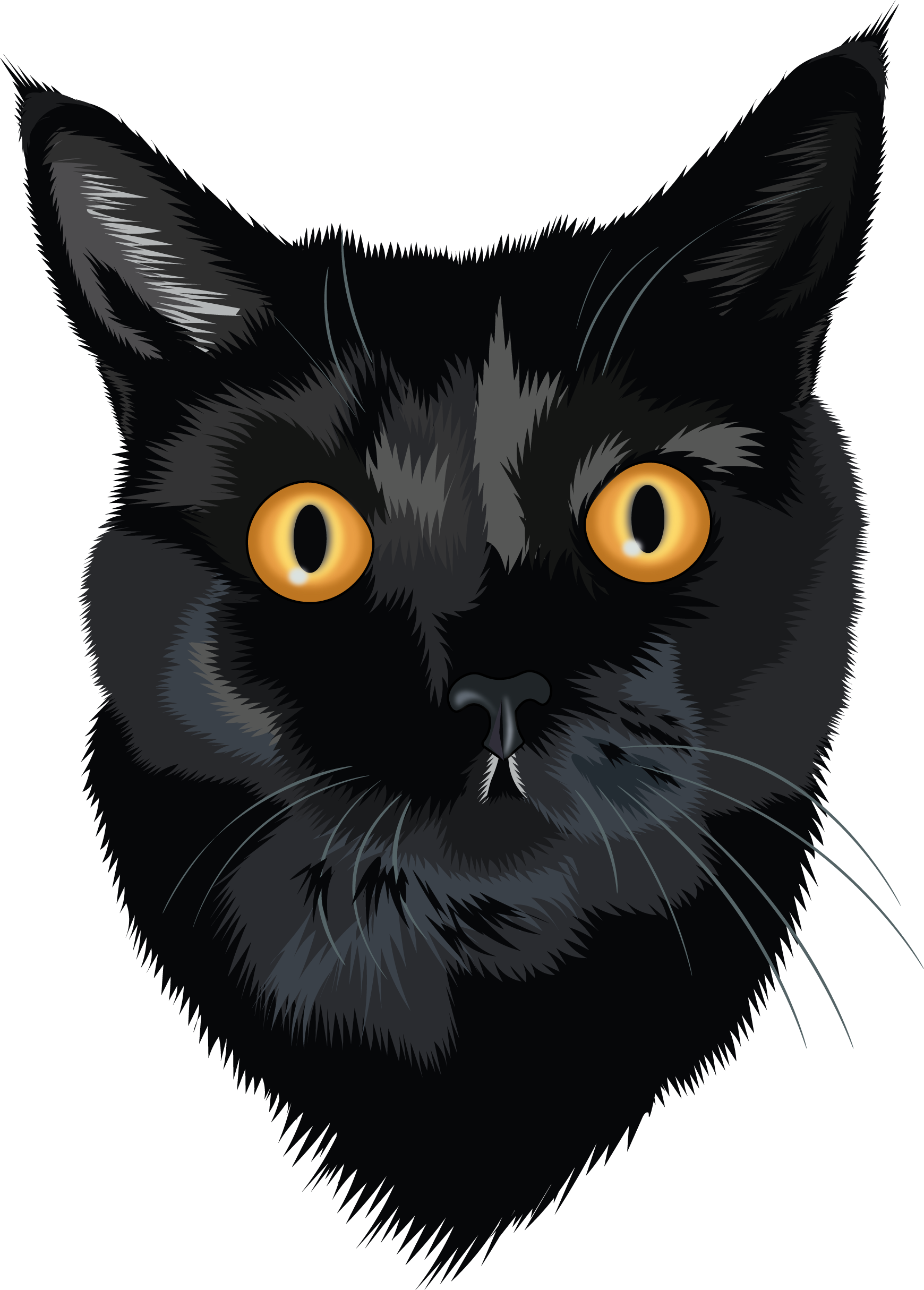 Guardian of the Night animal black cat cat cat illustration character clean cute dark detailed digital illustration flat illustration minimal mystic pet portrait vector vector art