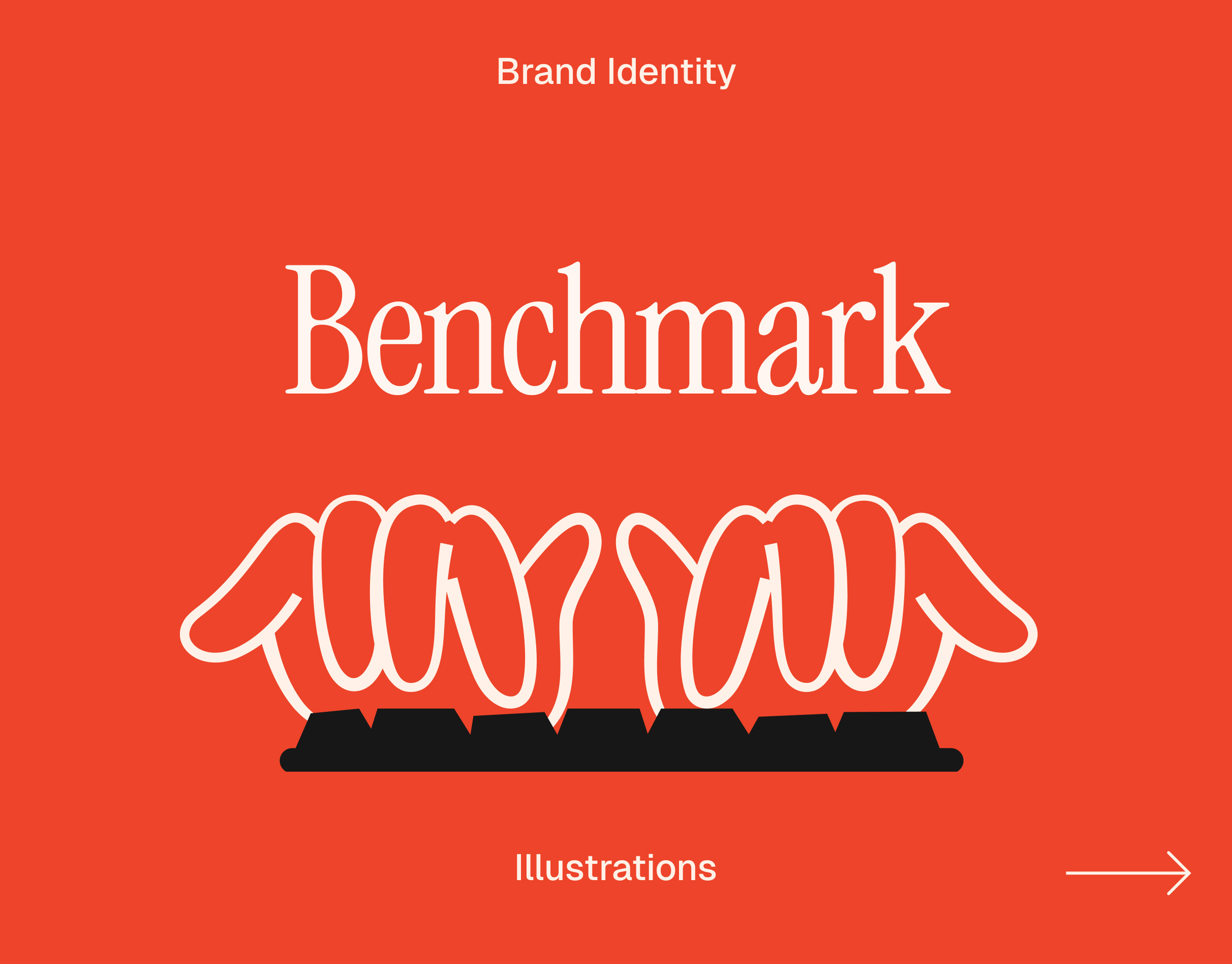 Banchmark | Brand Identity | Illustrations branding character design design graphic design illustration logo
