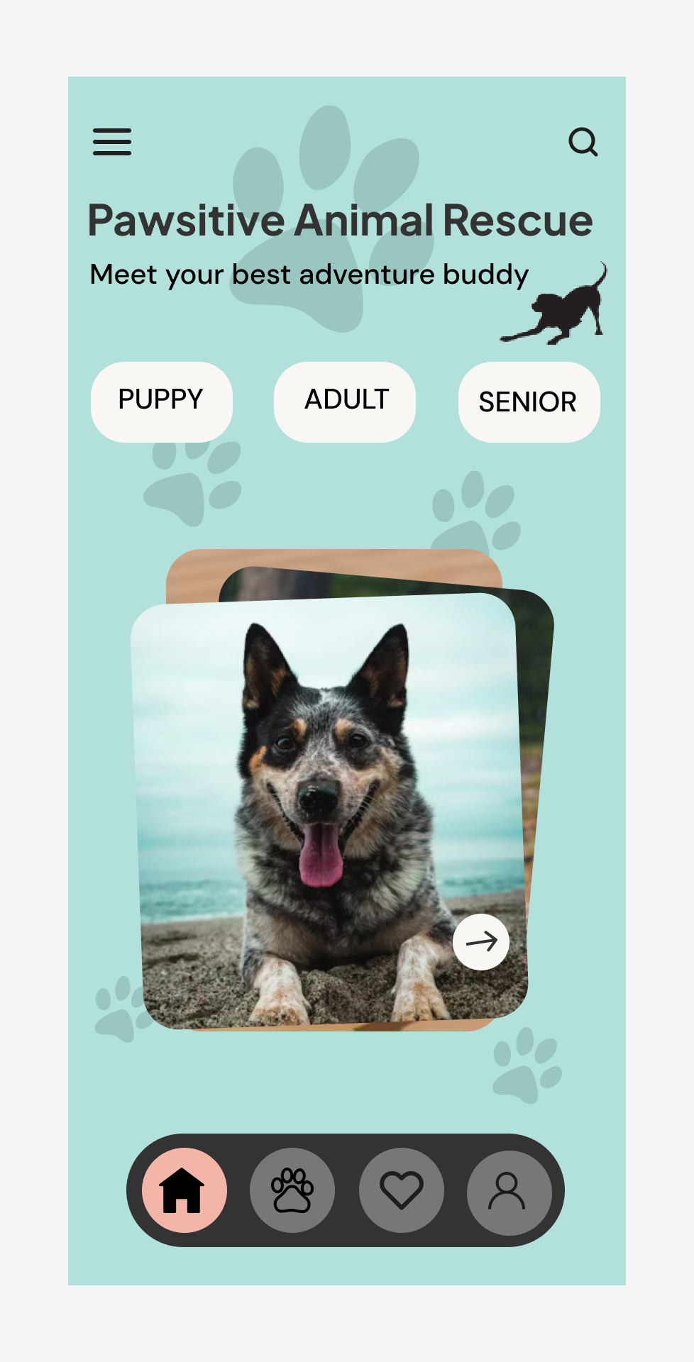 Dog Rescue : Mobile - Playful | Calm card stack dog mobile ui