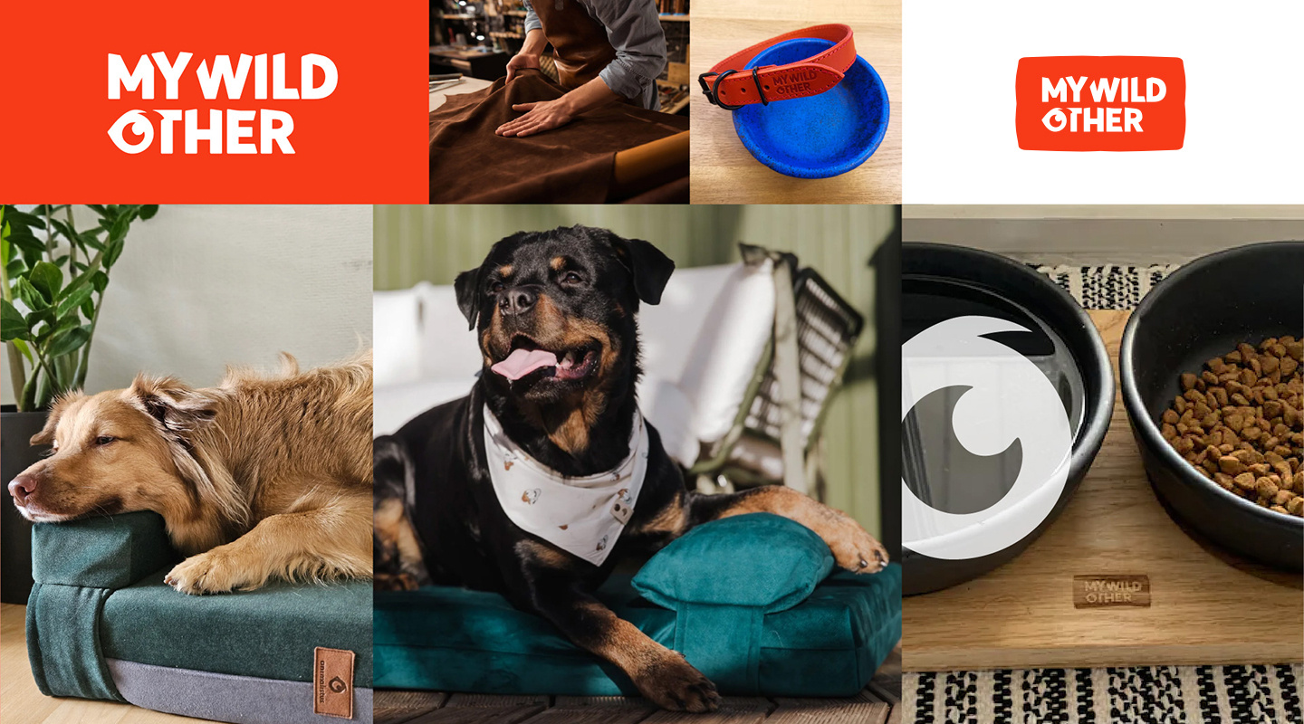 Pet Accessories - Branding Identity brand branding bright logo logotype pets wild