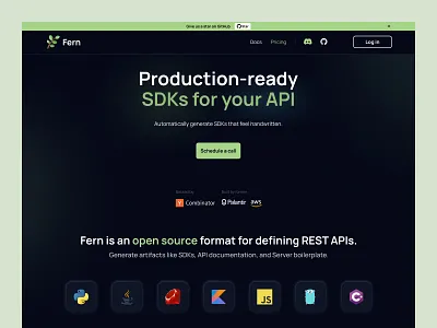 Fern - Developer Tool api bold design interface product startup ui ux web web design website