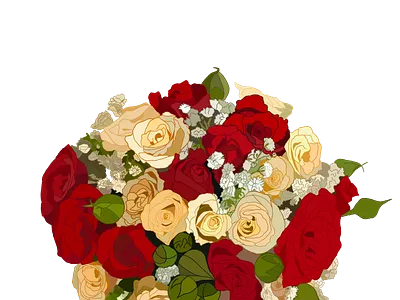 Red and White Roses floral flower illustration pattern persian red rose white