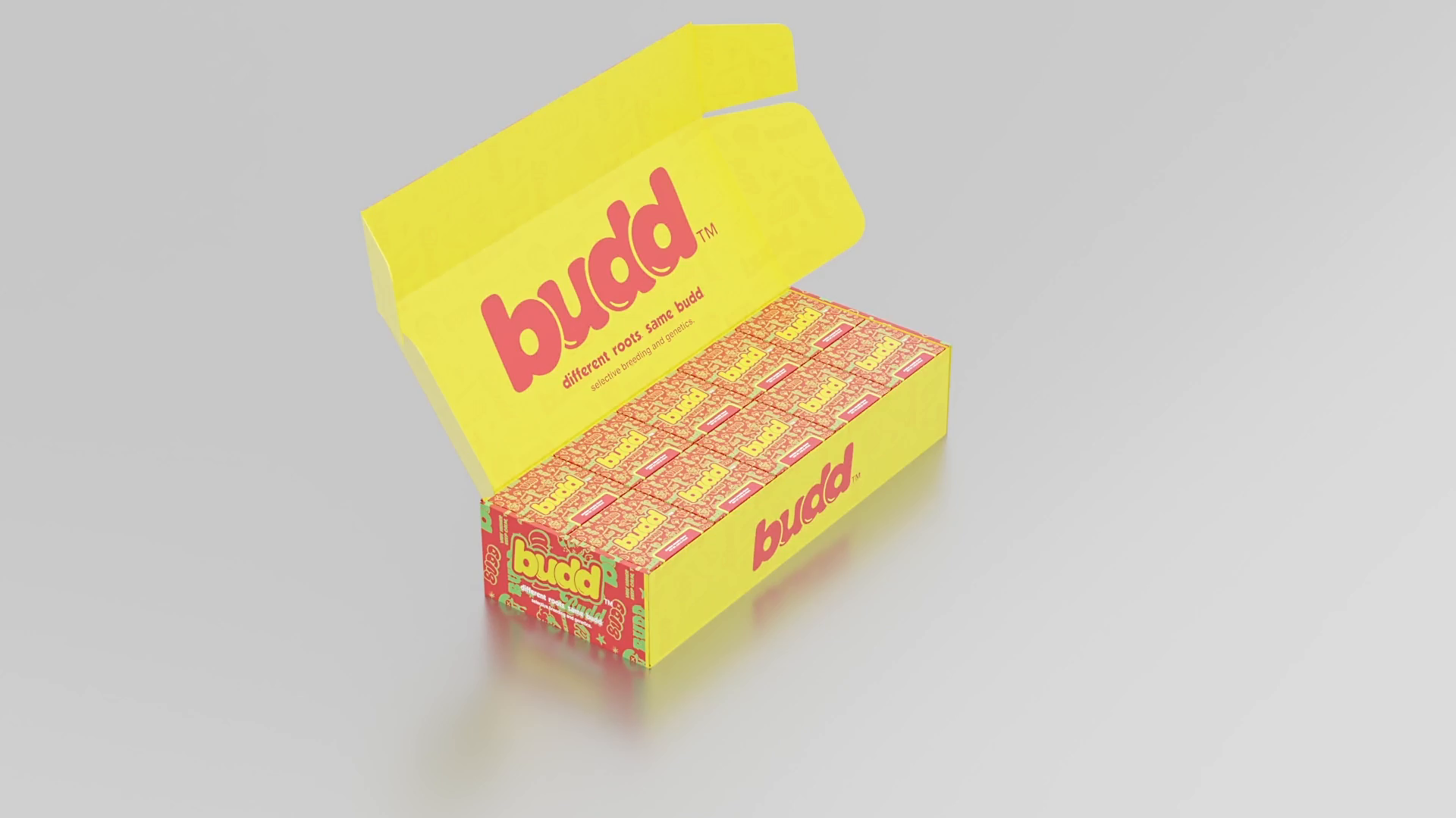 Example of Professional 3D Animation Service