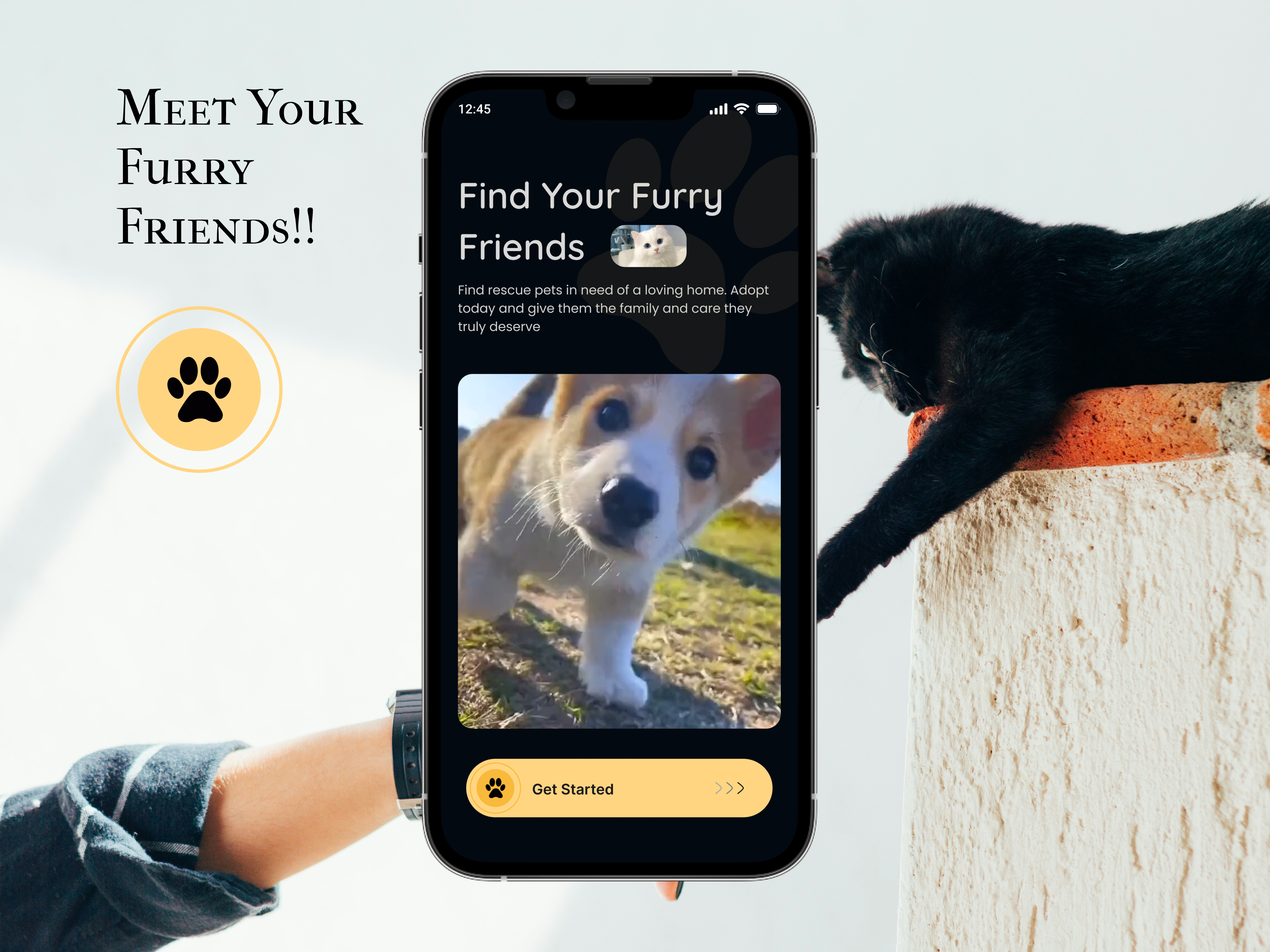 Furry Pets I Case Study I Pet App Design app design dating dating app love match mate mating app mobile app pet pet adopt pet adoption app pet app pet app design pet care pet care app pet dating