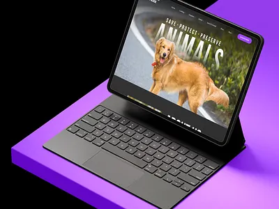 Dog Rescue Website branding business clean company design dog care dog grooming graphic design illustration landing page logo modern pet wellness protect dogs rescue save uiux vector webflow