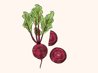 Greens pt3 art artwork beets design digital art digital illustration drawing food fruit graphic design illustration procreate vegetable