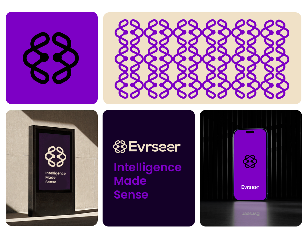 Evrseer Branding showcase brand guidelines branding branding guidelines guidelines logo branding logo design logo identity logo visual identity visual identity