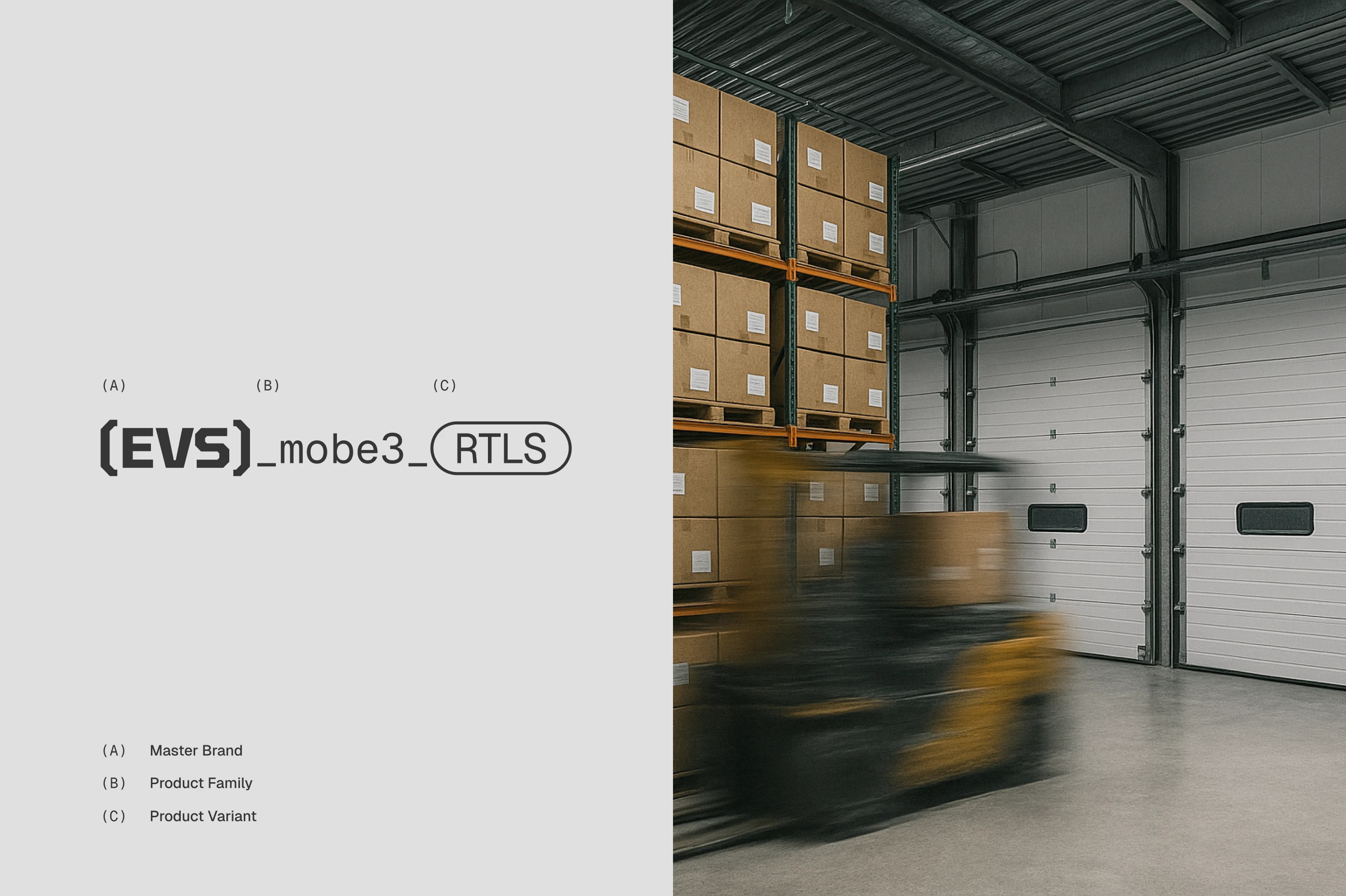 EVS mobe3 + Brand Identity & Web Experience branding graphic design logo ui