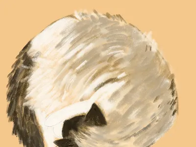 PaoPao sleeping illustration