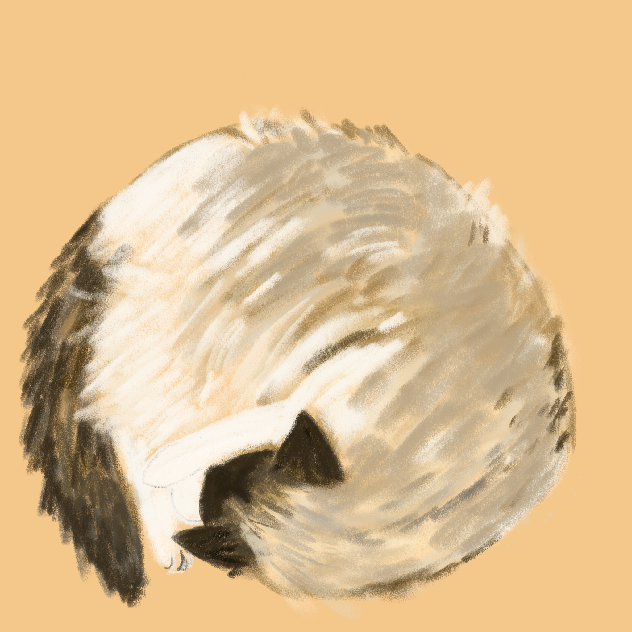 PaoPao sleeping
