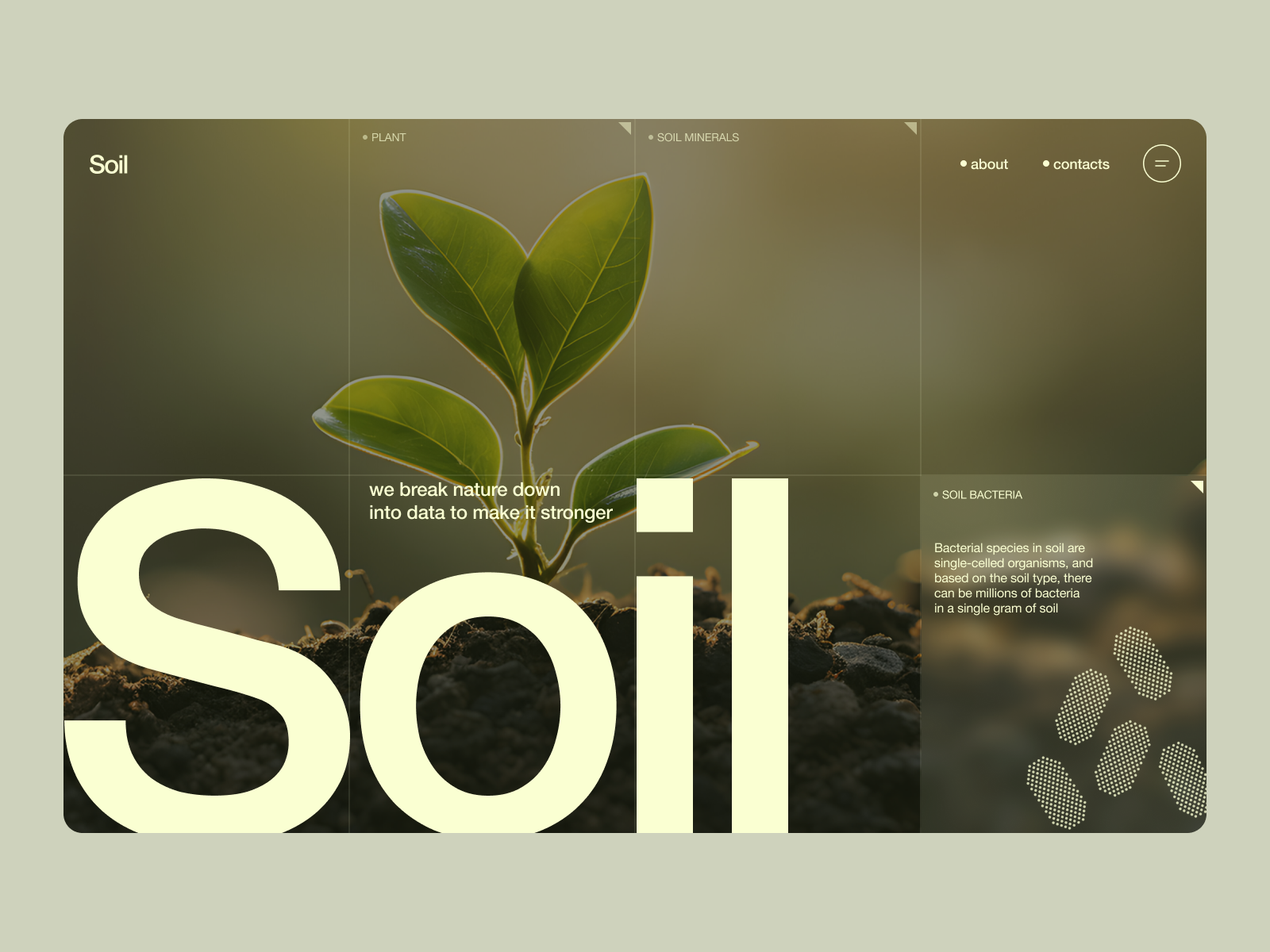 Soil | Research Company Animation UX/UI animation concept design ecological ecology figma landing landing page nature research science ui uxui uxui design web design