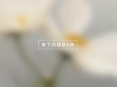 Etnodim Fashion E-commerce Website Concepts conceptdesign design e commerce fashion ui uiux web website design