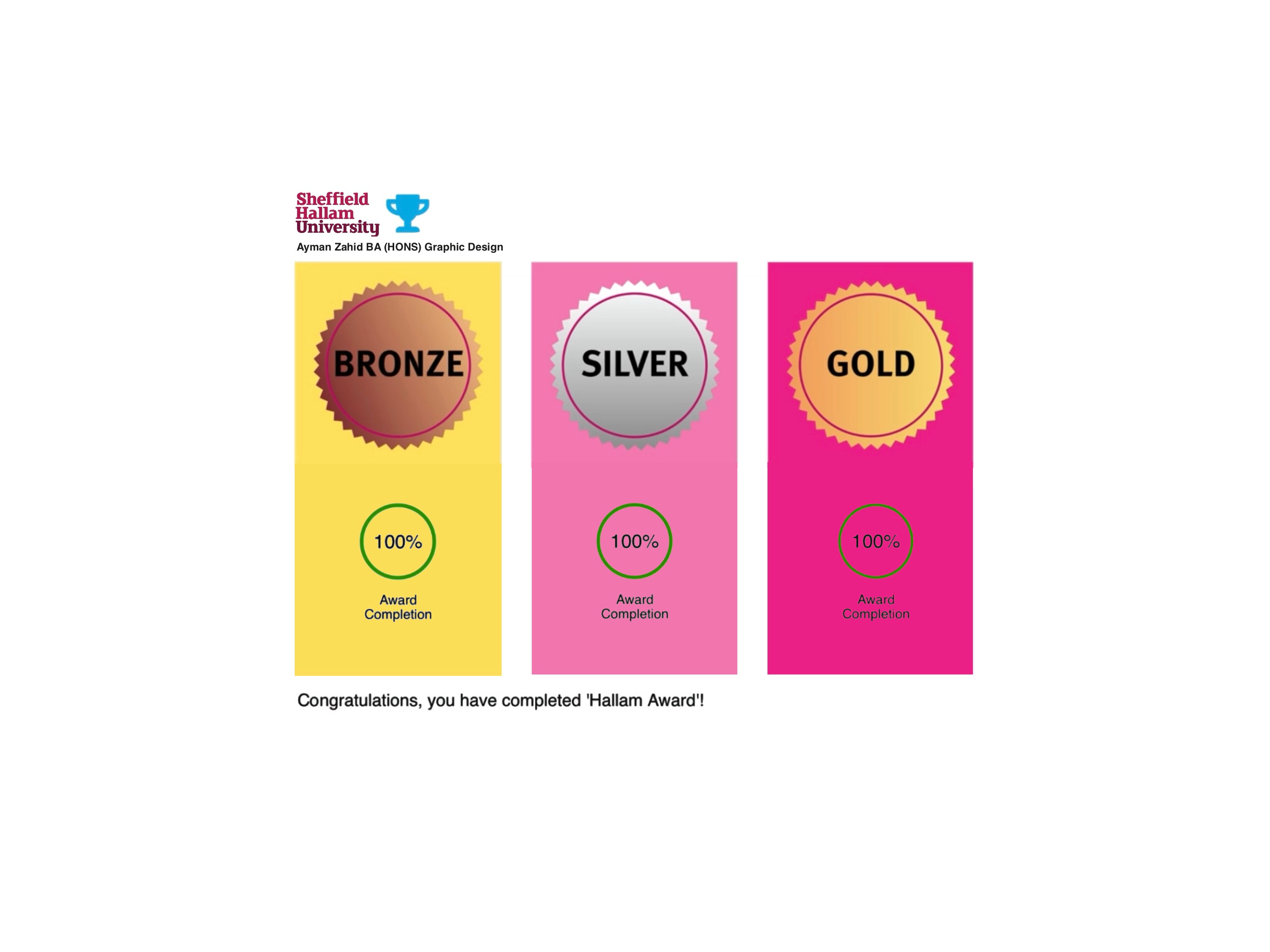 Hallam Awards (Gold, Silver, Bronze) animation award branding certificate client work design featured graphic design illustration istd logo new project trending typography ui ux vector winner