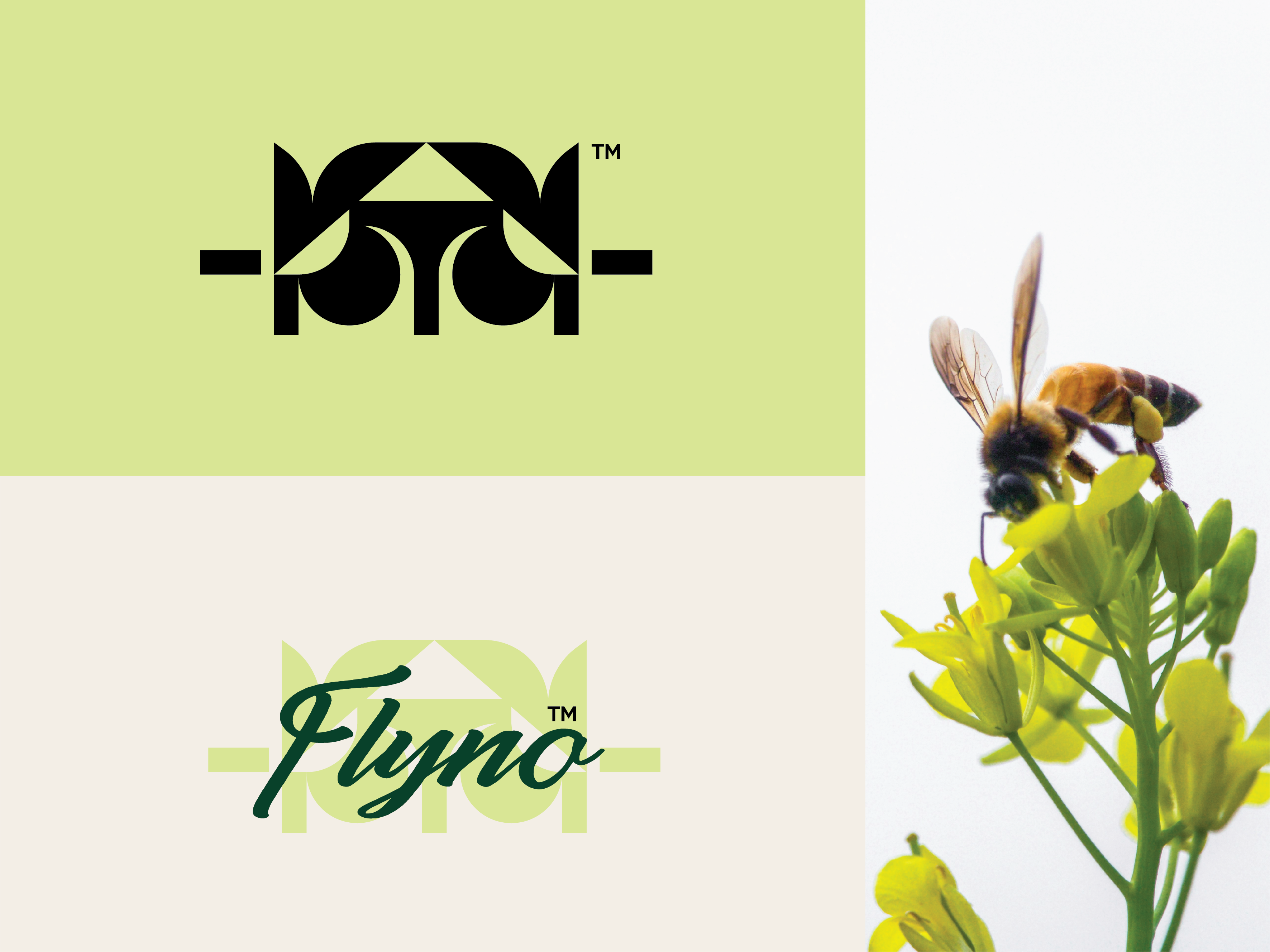 FLYNO 2026 branding design graphic design honey illustration logo minimal logo natural typography