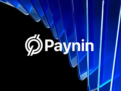 Paynin - Logo Branding branding crypto crypto branding crypto logo crypto wallet logo guidelines logo branding logo design minimal branding minimal design new logo scalable ui visual identity