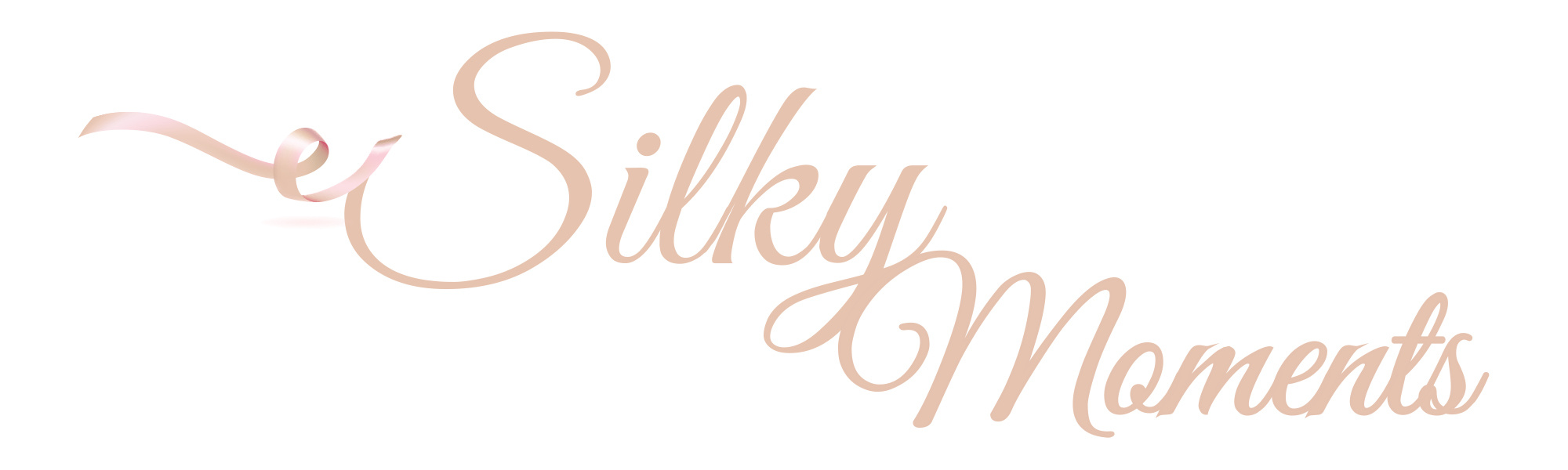Silky Moments Logo for wedding Planners graphic design illustrator logo