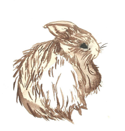 Brown Little Bunny rabbit art