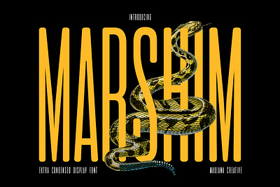 Marshim Sans Serif Display Font branding creative market design font fonts graphic design logo maulana creative nostalgic sans font sans serif snake font