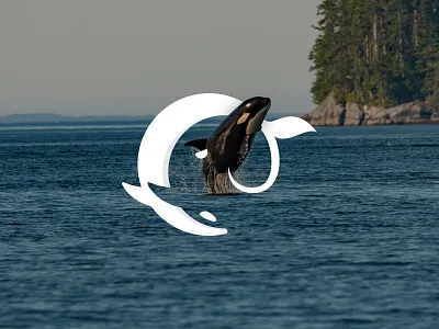 Orca Elephant Logo affinity designer africa big branding elephant fish hunter ivory logo mammal nature ocean orca safari sea swim trunk vector whale wildlife