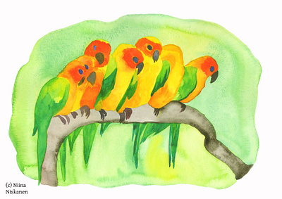 Sun Conure Parrots painting