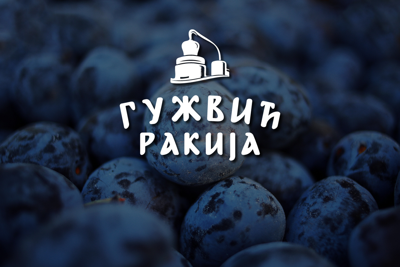 Example of Custom Logo Design–Print & Digital Ready