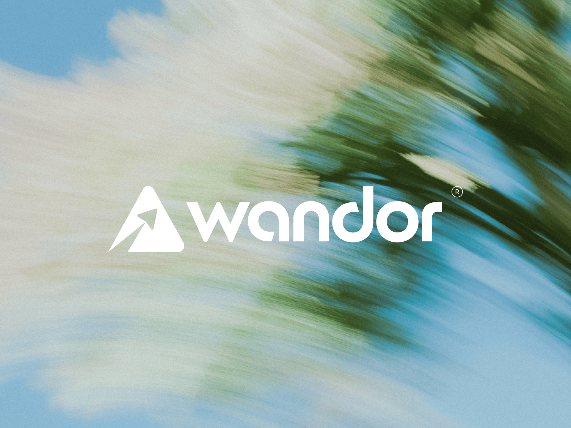 WANDOR — Purposeful Wandering adventure brand brand identity branding color system concept design exploration logo design travel typography visual identity