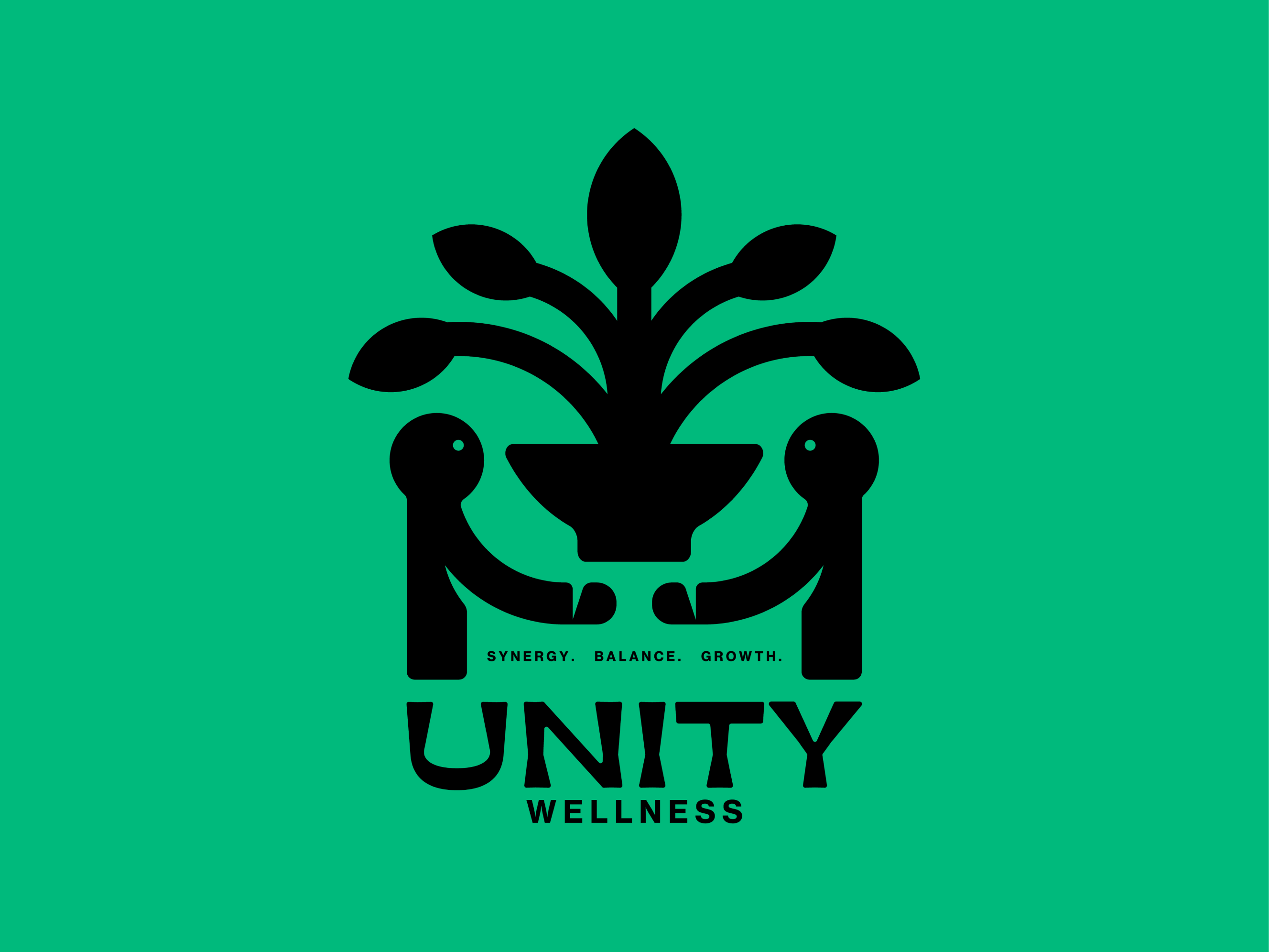 Example of Custom Premium Logo Design
