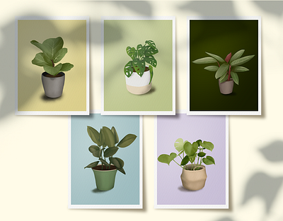 Home Plants | Illustration design digital art digital illustration graphic design illustration ipad minimal nature photoshop plant procreate sketch