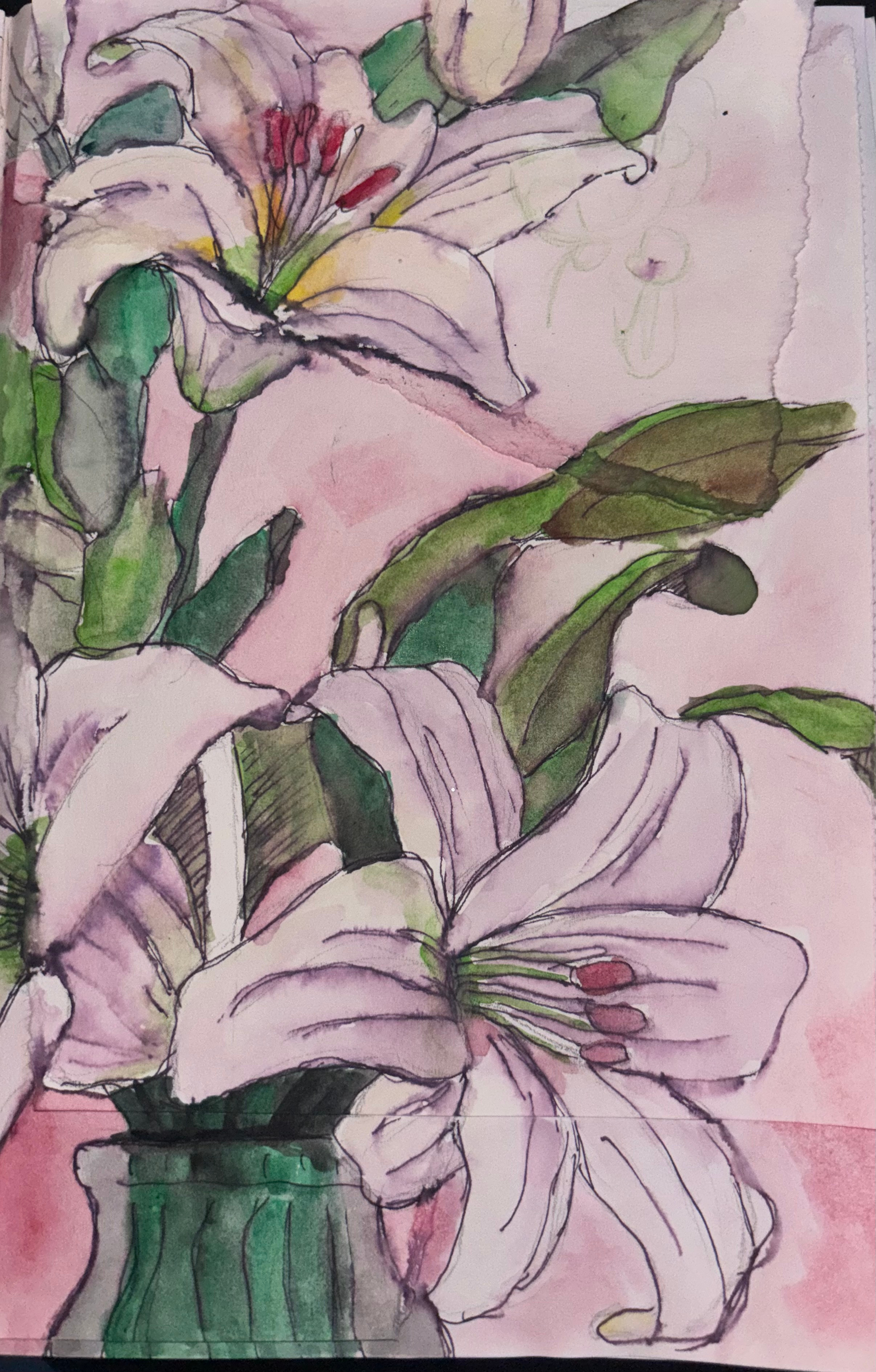 Sketch of Lillies