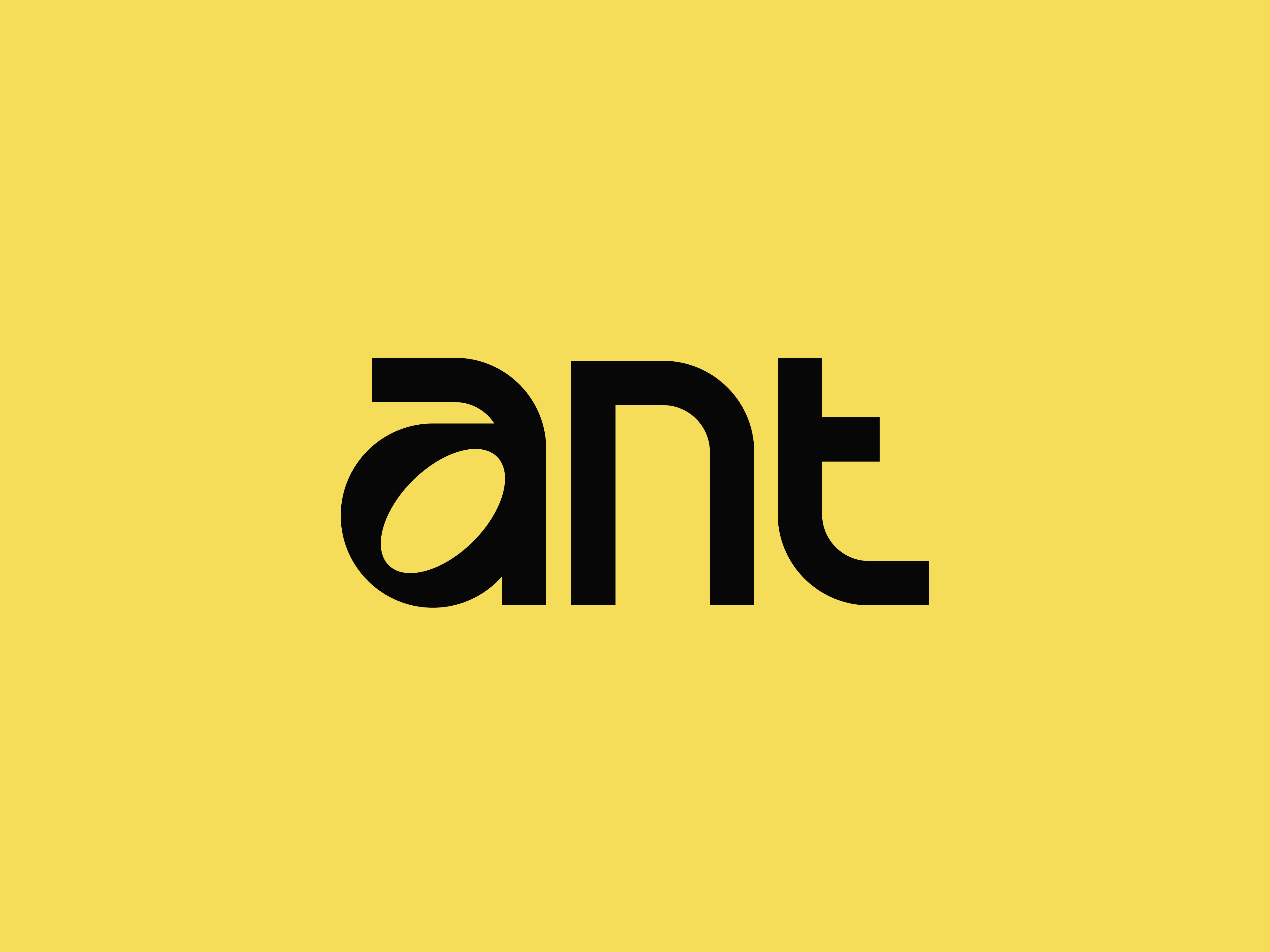 ant wordmark ant ant logo branding insect lettermark logo logo design wordmark