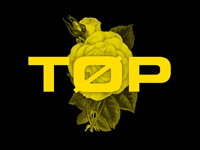 TØP floral design graphic design illustration logo texture tøp vector