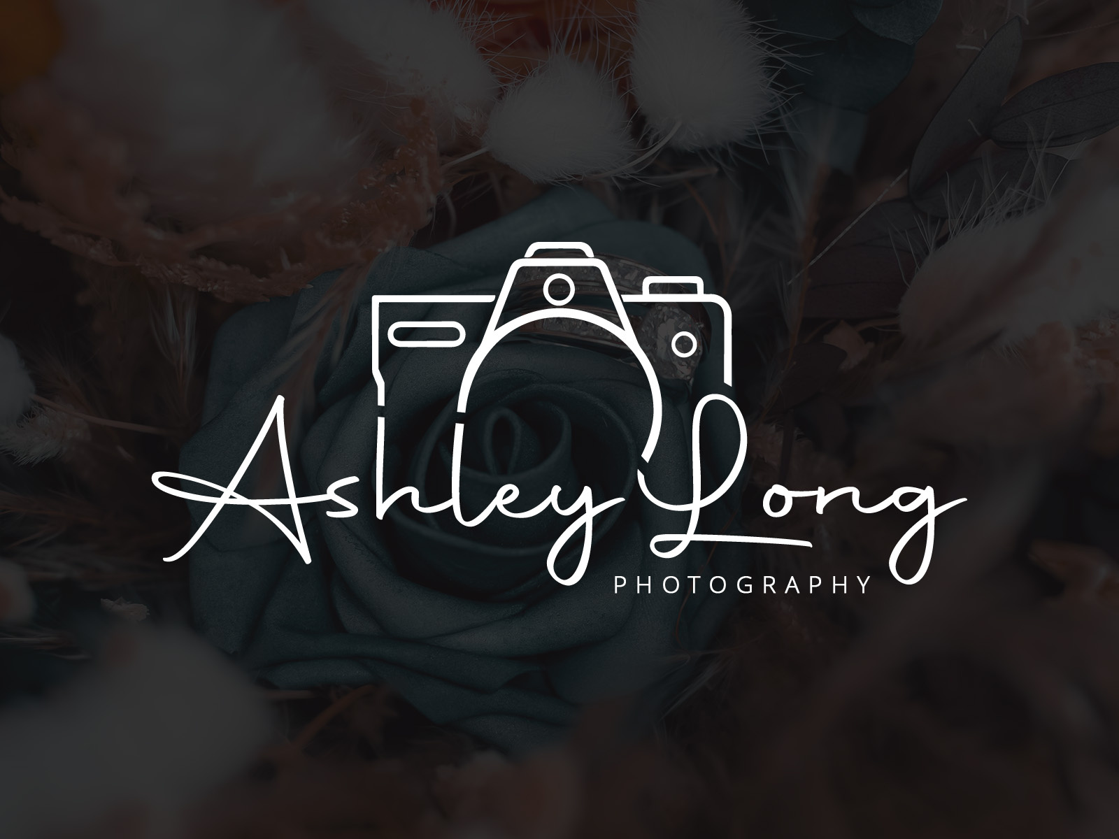 Ashley Long Photography — Logo Design branding identity logo design photography typography