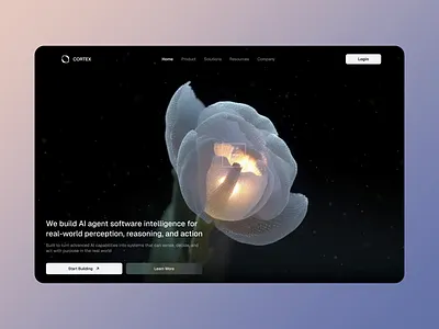 AI Agent Software Intelligent Web Cover 3d animation branding graphic design logo motion graphics nexa touch ui