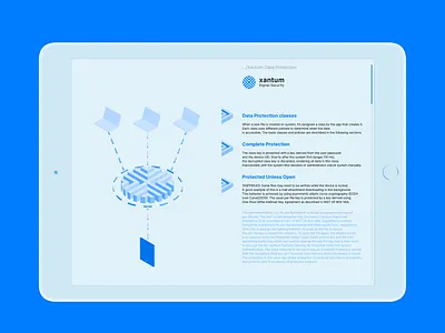 Xantum / Logo & Brand Identity