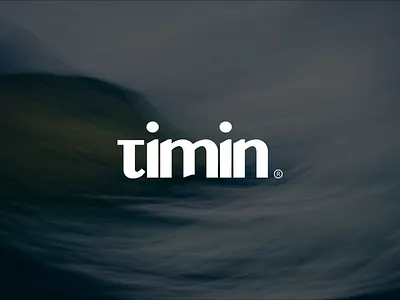 timin logo brand branding design graphic design icon illustration logo typography vector