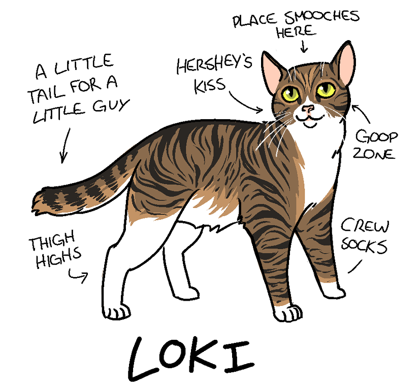 Simple Pet Drawings cartoon cats cute digital illustration pets pixel brush