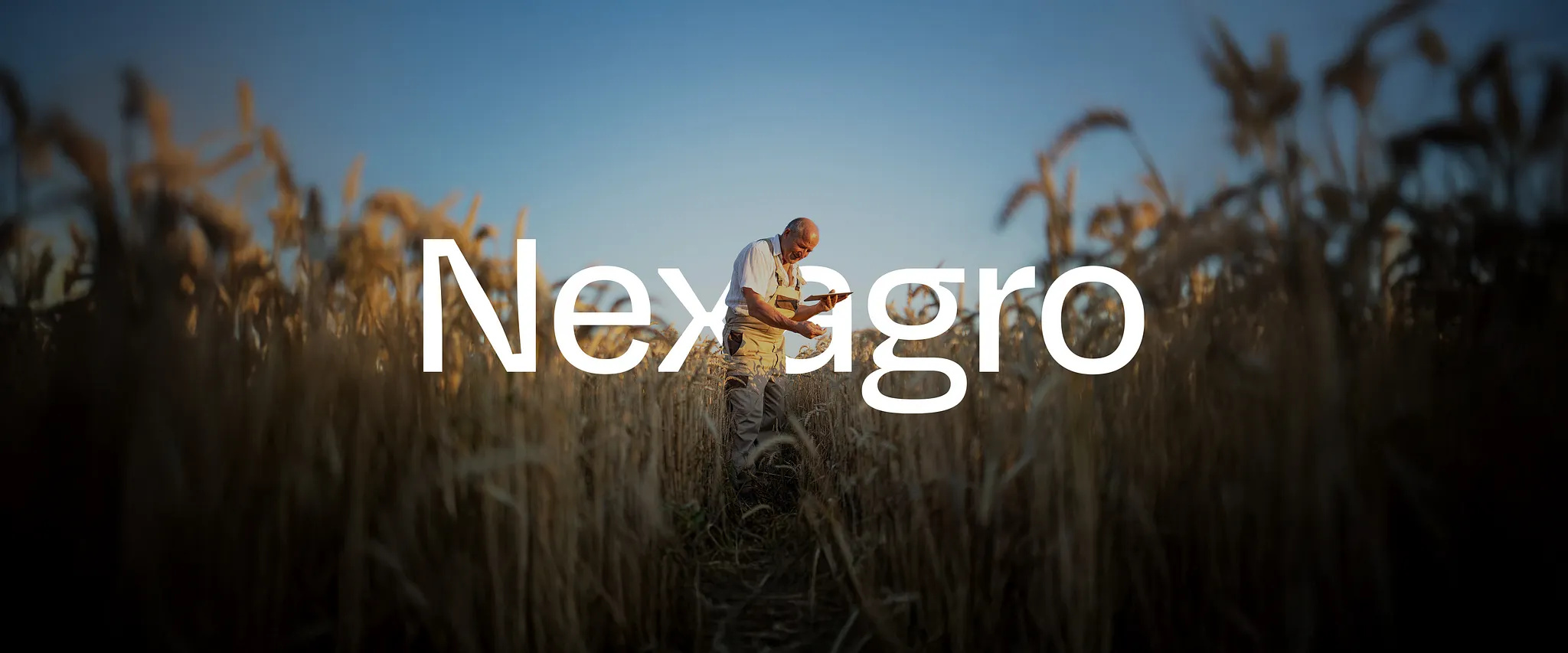 NEXAGRO x TUERCA Studio brand brand strategy brand system branding graphic design logo strategy