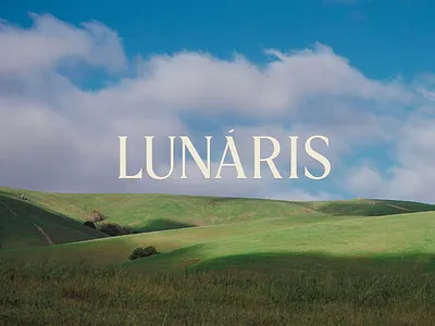 Lunaris Brand Logomark brand brand direction branding creative direction logomark wordmark