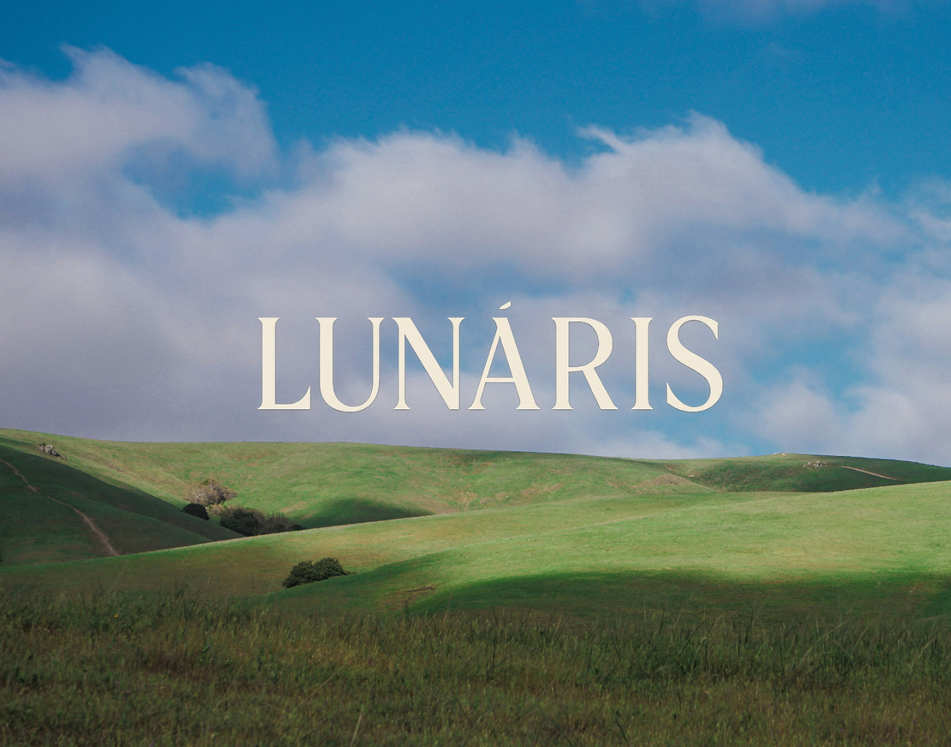 Example of Logo Design