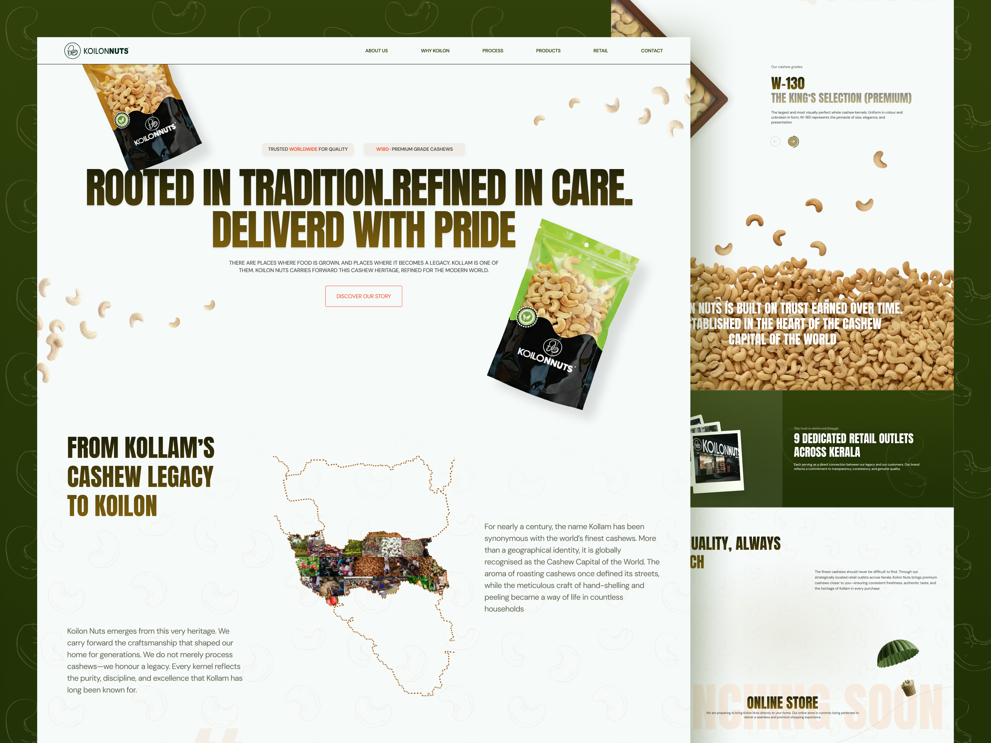 Koilon Nuts — Premium Cashew Brand Landing Page conversion e commerce landing page design modern ui web design