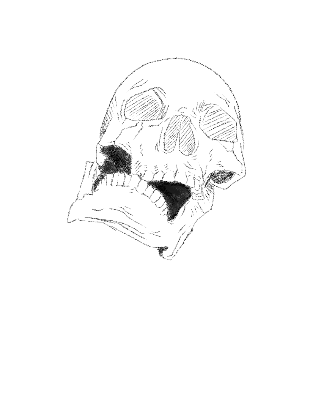Hand drawn skulls australian digital drawing emotional graphic design illustration skulls
