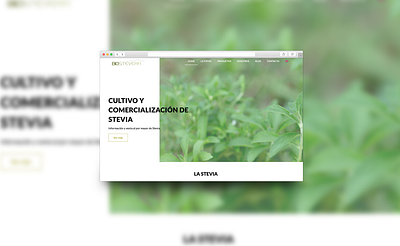 Web Design | Biostevera design graphic design landing ui webdesign