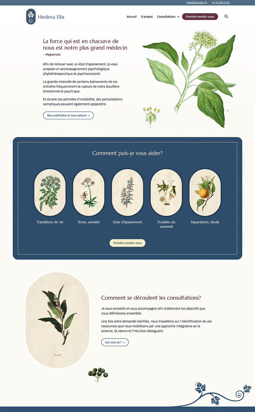 Herbal therapist website accessibility accessible webdesign ui web accessibility webdesign
