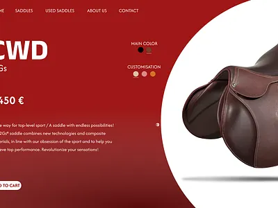 CWD Website idea figma ui website