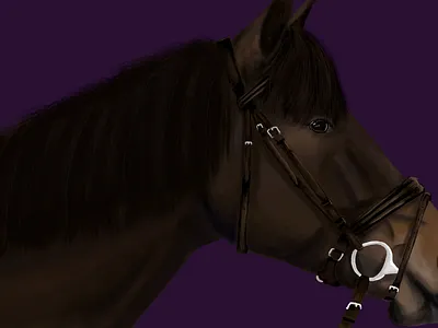 Wallis graphic design krita