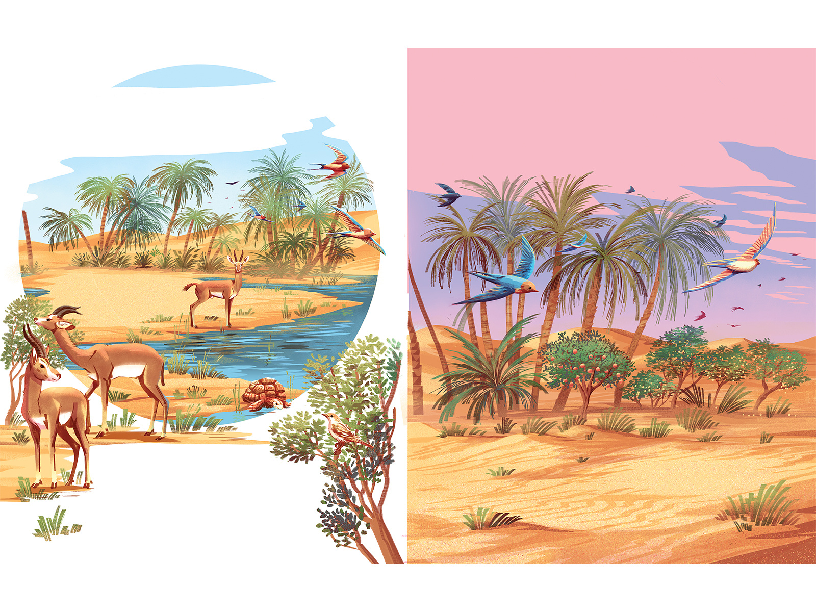 Tree of Life birds bookillustration desert digitaldrawing educationalillustration illustration muti palm pink plants sand texture wacomgallery wildlife