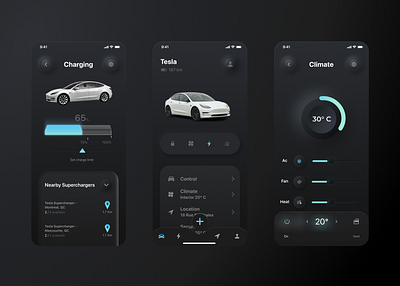 Tesla Charging App app design ui ux