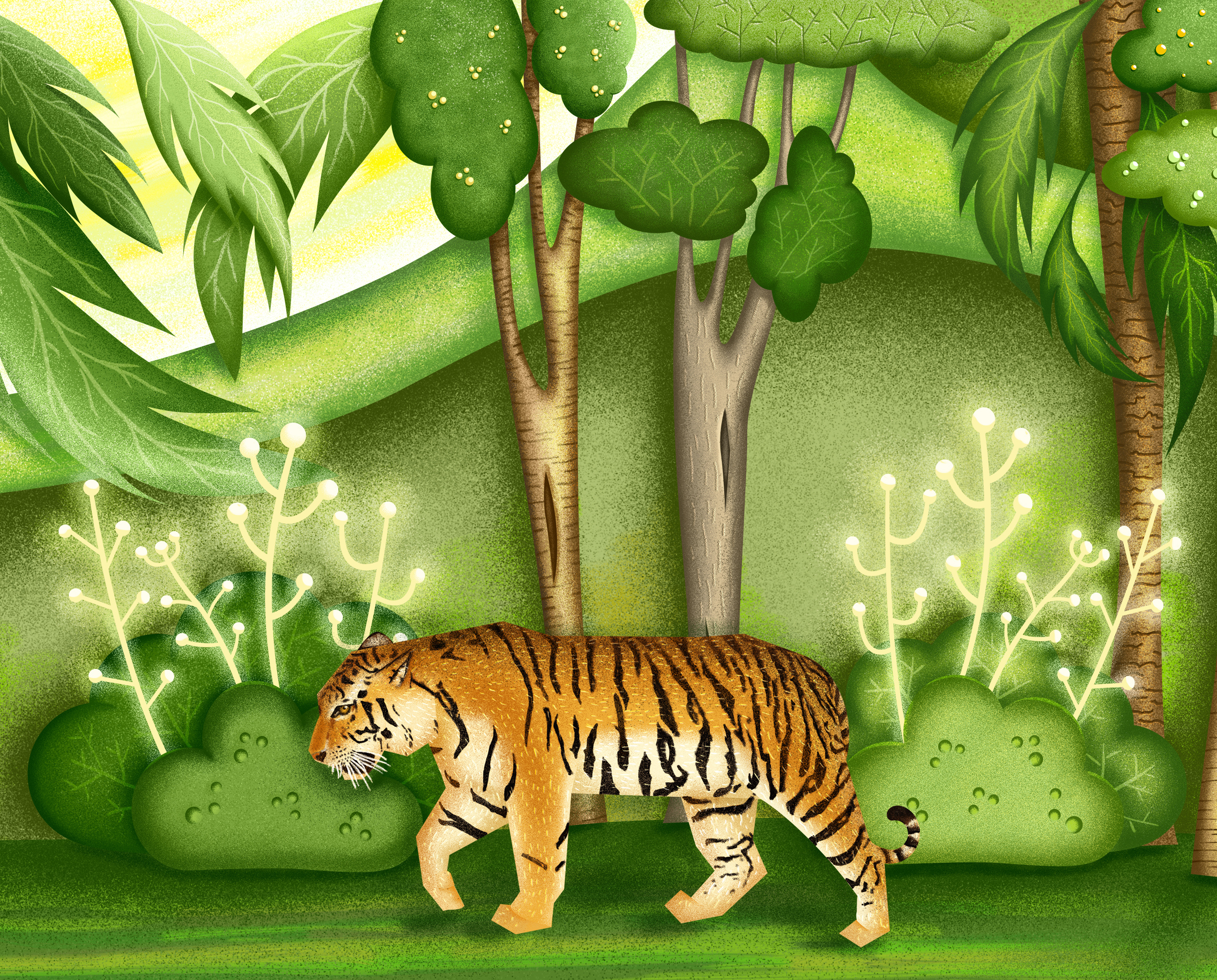 Tiger book illustration childrens book illustration digital art digital illustration forest illustration jungle texture tiger
